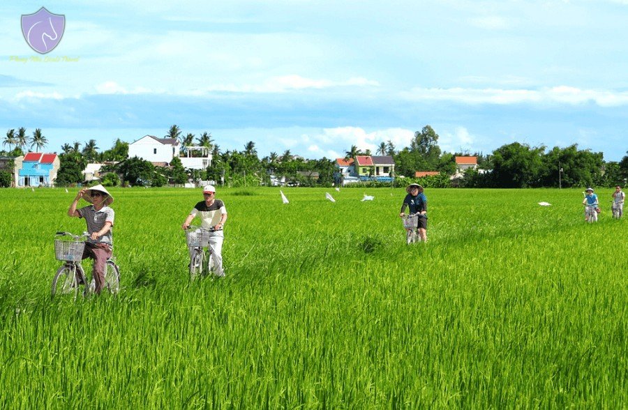 Hoian Cycling Tour 1 Day